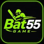 Bat55 Game
