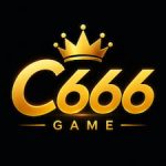 C666 Game